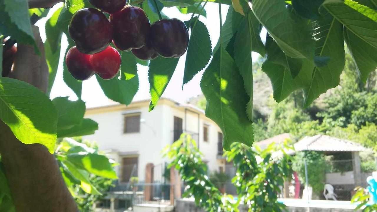 Casa Rural Las Huertas De Roque Monachil Eksteriør billede