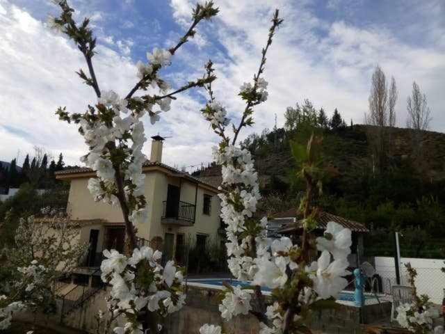 Casa Rural Las Huertas De Roque Monachil Værelse billede