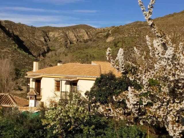 Casa Rural Las Huertas De Roque Monachil Værelse billede